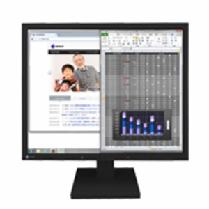 EIZO ＜FlexScan＞19インチモニター(1280x1024/DisplayPort(HDCP対応)x1/DVI-D 24ピン(HDCP対応)x1/D-Sub 15ピン(ミニ)x1/ブラック) S193