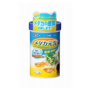 メダカ元気産卵育成フード100g 観賞魚