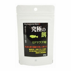 B-blast 究極の餌 ミドリフグ用 20g 日本製 国産 観賞魚 アクアリウム 熱帯魚用フード