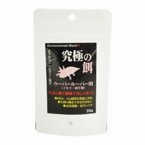 B-blast 究極の餌 ウーパールーパー用 20g 日本製 国産 観賞魚 アクアリウム 熱帯魚用フード
