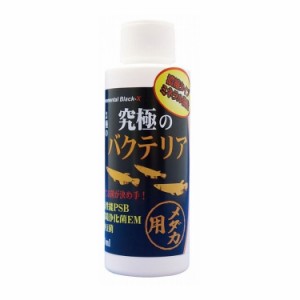 B-blast 究極のバクテリア メダカ用 120ml 日本製 国産 観賞魚 アクアリウム 水質調整剤