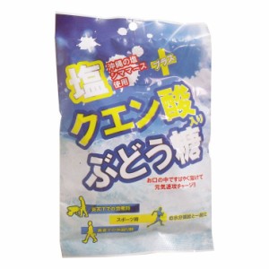 塩+クエン酸入り ぶどう糖 2g×20粒入 飴・健康飴