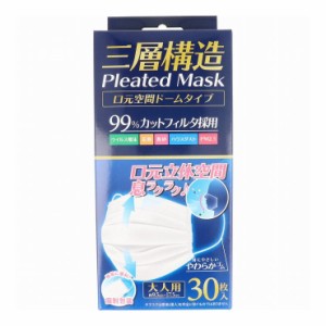 iiもの本舗 三層構造 プリーツマスク 口元空間ドームタイプ 個別包装 大人用 30枚入