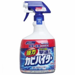 花王業務用 強力カビハイター スプレー 1000mL