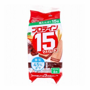 プロテイン15ウエハース カカオ味 6枚入