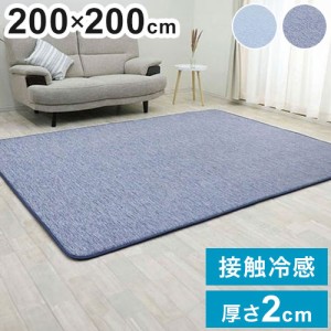 ラグ 200×200cm 低反発 ラグ ラグマット 夏用 接触冷感 ひんやり ラグマット 低反発 厚20mm 防音 フロア 床 滑り止め付 厚手 ふかふか 