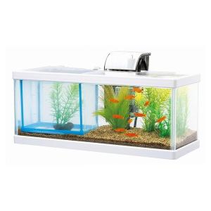 流木 ガラス アクアリウムの通販 Au Pay マーケット