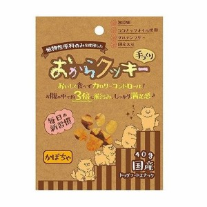 ペッツルート おからクッキー かぼちゃ 40g