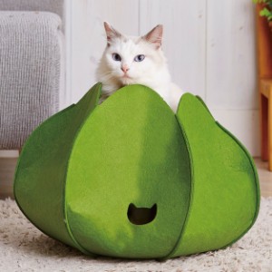アドメイト Cuna クーナ フェルトベッド SSX グリーン 猫用 ベッド ペットベッド ソファ クッション取り外し可 やわらか 全猫種対応 ペテ