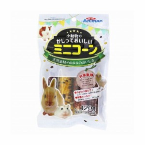 ドギーマンハヤシ miniAniman 小動物のかじっておいしい ミニコーン 120g