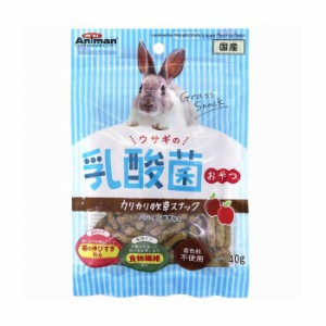 ドギーマンハヤシ miniAniman ウサギの乳酸菌おやつ カリカリ牧草スナック 40g