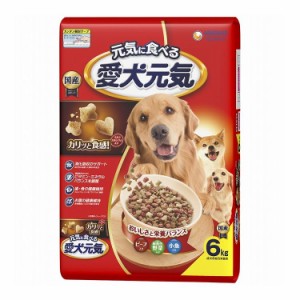 ユニチャーム 愛犬元気 全成長段階用 ビーフ・緑黄色野菜・小魚入り 6kg【送料無料】