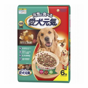 ユニチャーム 愛犬元気 全成長段階用 ささみ・ビーフ・緑黄色野菜入り 6kg【送料無料】