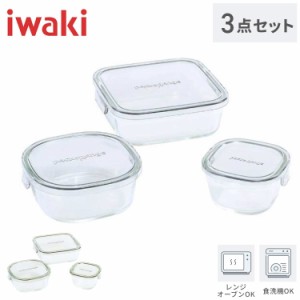 iwaki イワキ 新色 耐熱ガラス保存容器 3点セット パックアンドレンジ パック&レンジ PC-PRN3G41 PC-PRN3GY21 耐熱ガラス 保存容器 保存