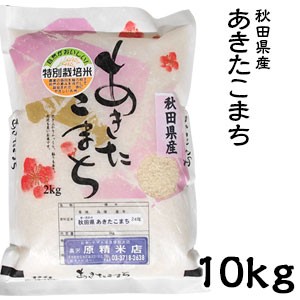 米 日本米 令和5年度産 秋田県産 あきたこまち 10kg【精米無料】【特別栽培米】【新米】(代引不可)【送料無料】