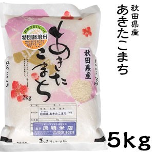 米 日本米 令和5年度産 秋田県産 あきたこまち 5kg【精米無料】【特別栽培米】【新米】(代引不可)【送料無料】