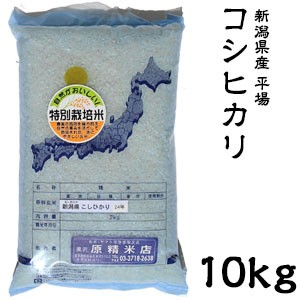 米 日本米 Aランク 令和5年度産 新潟県産 平場コシヒカリ 10kg【精米無料】【特別栽培米】【こしひかり】【新米】(代引不可)【送料無料】