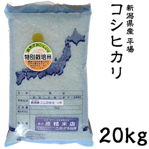 米 日本米 Aランク 令和5年度産 新潟県産 平場コシヒカリ 20kg【精米無料】【特別栽培米】【こしひかり】【新米】(代引不可)【送料無料】