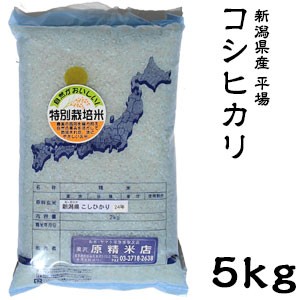 米 日本米 Aランク 令和5年度産 新潟県産 平場コシヒカリ 5kg【精米無料】【特別栽培米】【こしひかり】【新米】(代引不可)【送料無料】