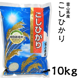 米 日本米 Aランク 令和5年度産 富山県産 こしひかり 10kg【精米無料】【特別栽培米】【こしひかり】【新米】(代引不可)【送料無料】