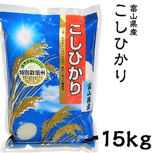 米 日本米 Aランク 令和5年度産 富山県産 こしひかり 15kg【精米無料】【特別栽培米】【こしひかり】【新米】(代引不可)【送料無料】