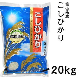 米 日本米 Aランク 令和5年度産 富山県産 こしひかり 20kg【精米無料】【特別栽培米】【こしひかり】【新米】(代引不可)【送料無料】