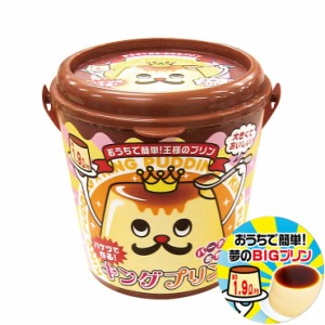 KINGプリン 巨大プリン バケツプリン パーティー クックトイ ホームパーティー キングプリン KA-00182【送料無料】