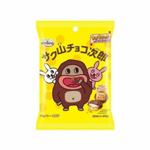 【12個セット】 正栄デリシィ サク山チョコ次郎 小袋 48g x12 まとめ買い まとめ売り お徳用 大容量 セット販売(代引不可)