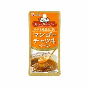 【10個セット】 ハウス カレーパートナー マンゴーチャツネペースト 40g x10 まとめ買い まとめ売り お徳用 大容量 セット販売(代引不可)