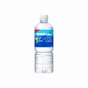 【24個セット】 アサヒ おいしい水 富士山のバナジウム天然水PET 600ml x24コ(代引不可)【送料無料】