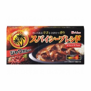 【10個セット】 ハウス ジャワカレー スパイシーブレンド 191g x10コ(代引不可)【送料無料】