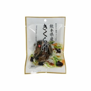 【10個セット】 フジサワ 熊本県産きくらげ 10g x10 まとめ売り セット販売 お徳用 おまとめ品(代引不可)【送料無料】