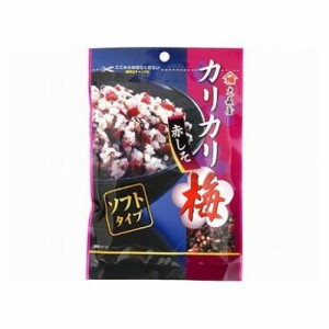 【10個セット】 大森屋 カリカリ梅 赤しそ 40g x10(代引不可)【送料無料】