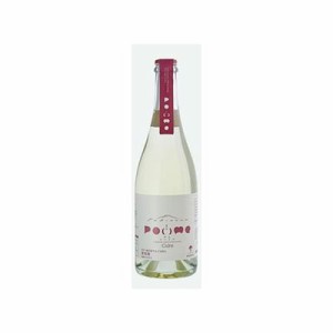 くずまきワイン 滝沢りんごワイン ポムシードル 750ml(代引不可)【送料無料】