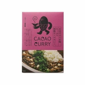 【10個セット】 GOOD NATURE MARKET お出汁のうま味和風キーマカレー 180g x10(代引不可)【送料無料】