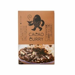 【10個セット】 GOOD NATURE MARKET カカオたっぷりコク旨味カカオカレー 180g x10(代引不可)【送料無料】