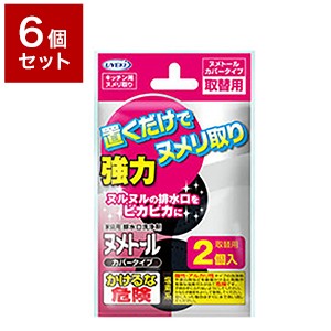 【6個セット】 UYEKI ウエキ ヌメトール カバータイプ 取替 20g×2個入キッチン 排水口 ヌメリ取り 排水溝 掃除 ふた 蓋