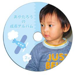 インクジェットフォト光沢DVD/CDラベル(内径17mm)LB-CDR013N サンワサプライ(代引き不可)