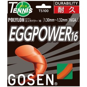 GOSEN（ゴーセン） エッグパワー16 TS100OR（代引不可）