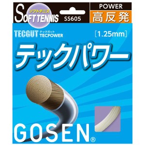 GOSEN（ゴーセン） テックガット テックパワー SS605NA（代引不可）