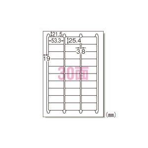 （業務用セット） エーワン ラベルシール〈レーザープリンタ〉 マット紙（A4判） 20枚入 31145 【×2セット】（代引不可）