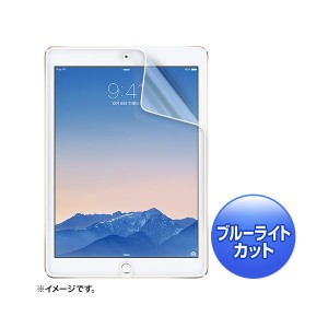 （まとめ）サンワサプライ iPadAir2用ブルーライトカット液晶保護指紋反射防止フィルム LCD-IPAD6BCAR【×2セット】（代引不可）