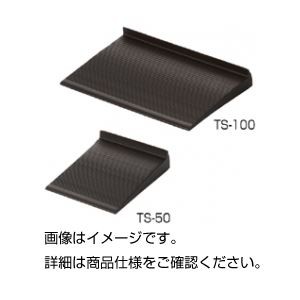 （まとめ）耐震用転倒防止板（たおれストッパー）TS-100 入数：2【×10セット】（代引不可）