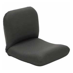 産学連携 背中を支える美姿勢座椅子5 グレー 背中5 YG20 GY 木製品・家具 ソファ・座椅子 肘なし座椅子(代引不可)【送料無料】