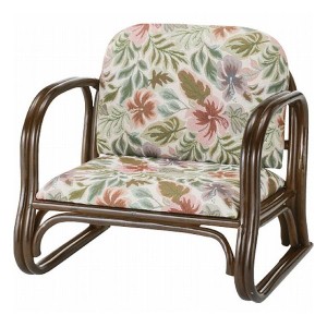 籐ジャカード織便利座椅子ロータイプ R5S123 木製品・家具 籐家具 座椅子(代引不可)【送料無料】