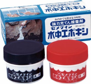 セメダイン 水中エポキシ 100ｇセット【CA-152】(接着剤・補修剤・水中用補修剤)