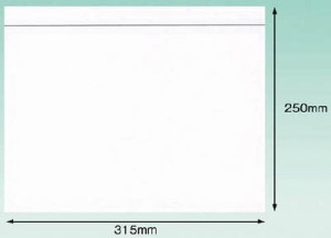 パピルス デリバリーパック （Ａ4サイズ用） 250×315【PA-004T】(梱包結束用品・荷札)【送料無料】