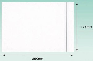 パピルス デリバリーパック （Ａ5サイズ用） 175×250【PA-005T】(梱包結束用品・荷札)【送料無料】