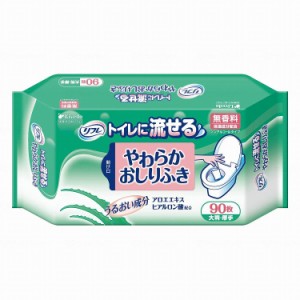 リブドゥ Tトイレに流せるやわらかおしりふき ケース(代引不可)【送料無料】