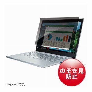 12.5型ワイド対応プライバシーフィルター CRT-PFNG125W(代引不可)【送料無料】